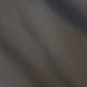 Meet your Posher, Betty